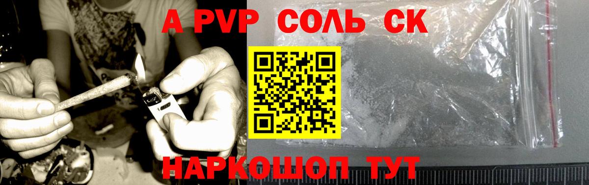 A PVP СК КРИС Петропавловск-Камчатский
