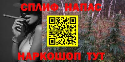 PSILOCYBIN Можга