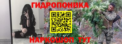 PSILOCYBIN Можга