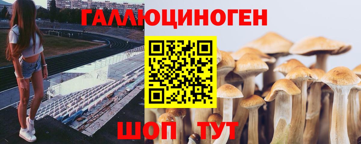 Галлюциногенные грибы GOLDEN TEACHER  Вход с VPN  цена   Петропавловск-Камчатский 