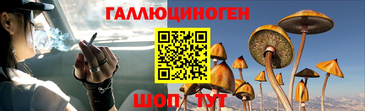 Галлюциногенные грибы Psilocybe Петропавловск-Камчатский